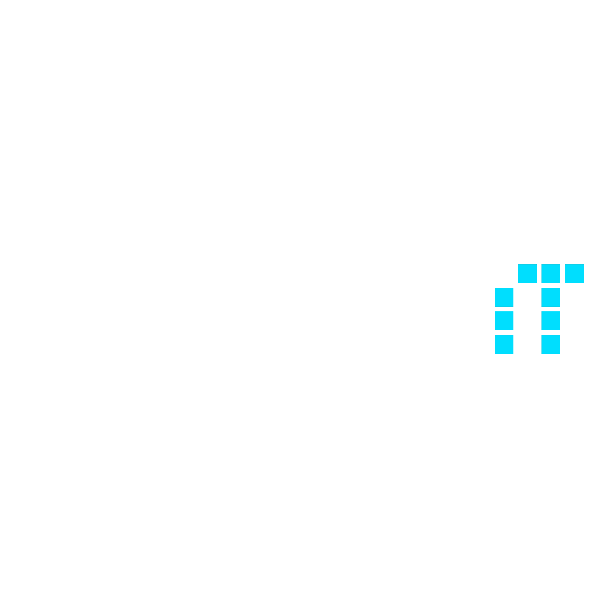 holistIT